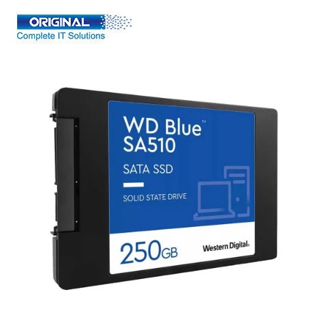 Buy the Western Digital Blue SA510 WDS250G3B0A Solid State Drive - Drive  Solutions